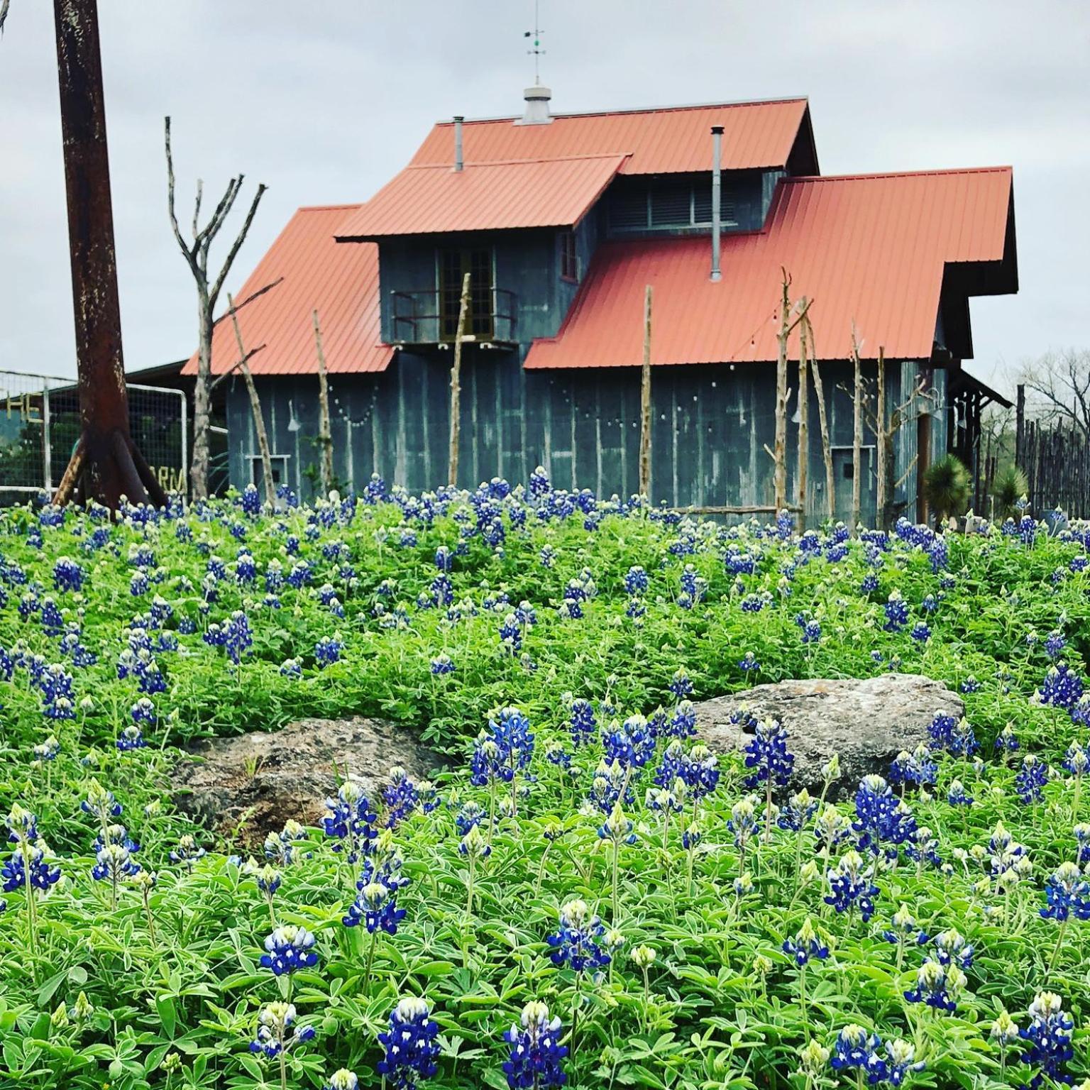 Montesino Ranch Lodging Villa Wimberley Exterior foto